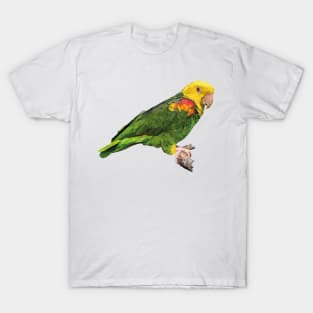 yellow-headed parrot T-Shirt
